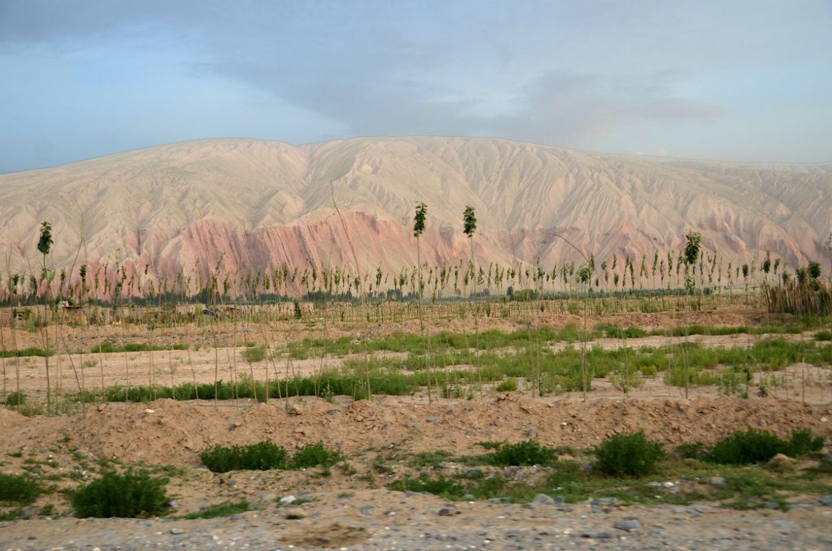 06 Eroded Red Hills Next To Village From Highway 219 Just After Leaving Karghilik Yecheng